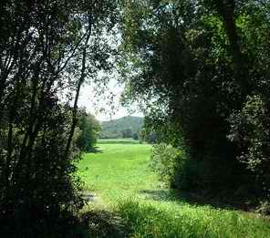 La Puerta (Amado Nervo)